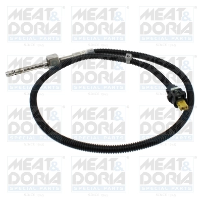 Sensor, exhaust gas temperature